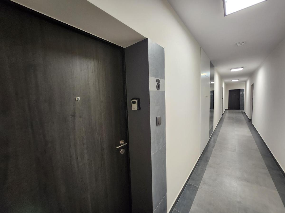 Dwa Jelonki, Ul Sciegiennego, Centrum, Garaz, Ogrodek Kielce Exteriör bild